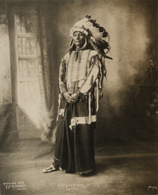 Chief Goes to War (Sioux)